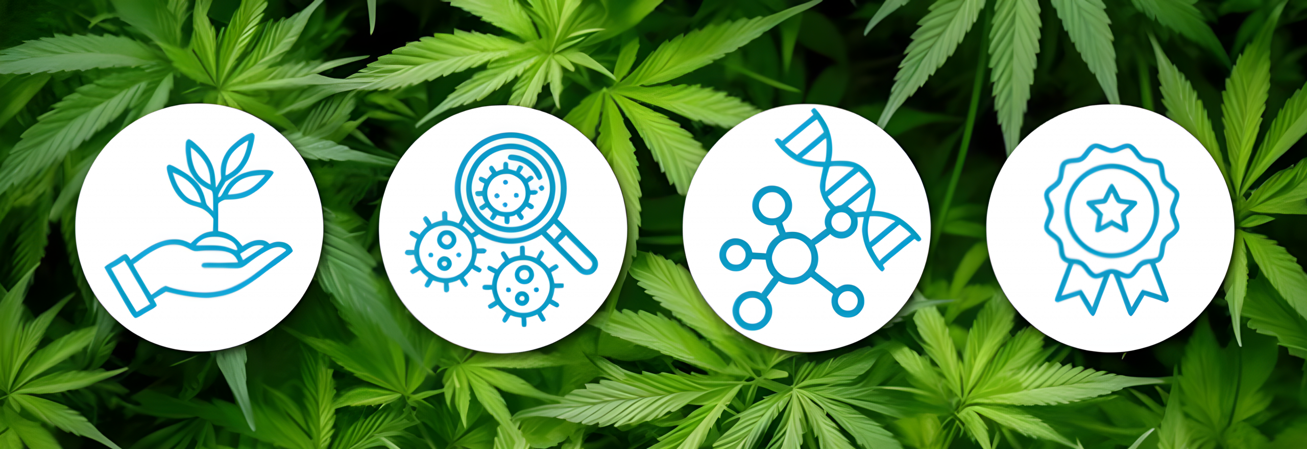 VORLAGE A6 Flyer Lisi Bizz Verkaufsunterstützung OHNE Kontaktdaten Infomail 07 02 2025 Druck Seite2 Nero AI Image Upscaler Photo Face